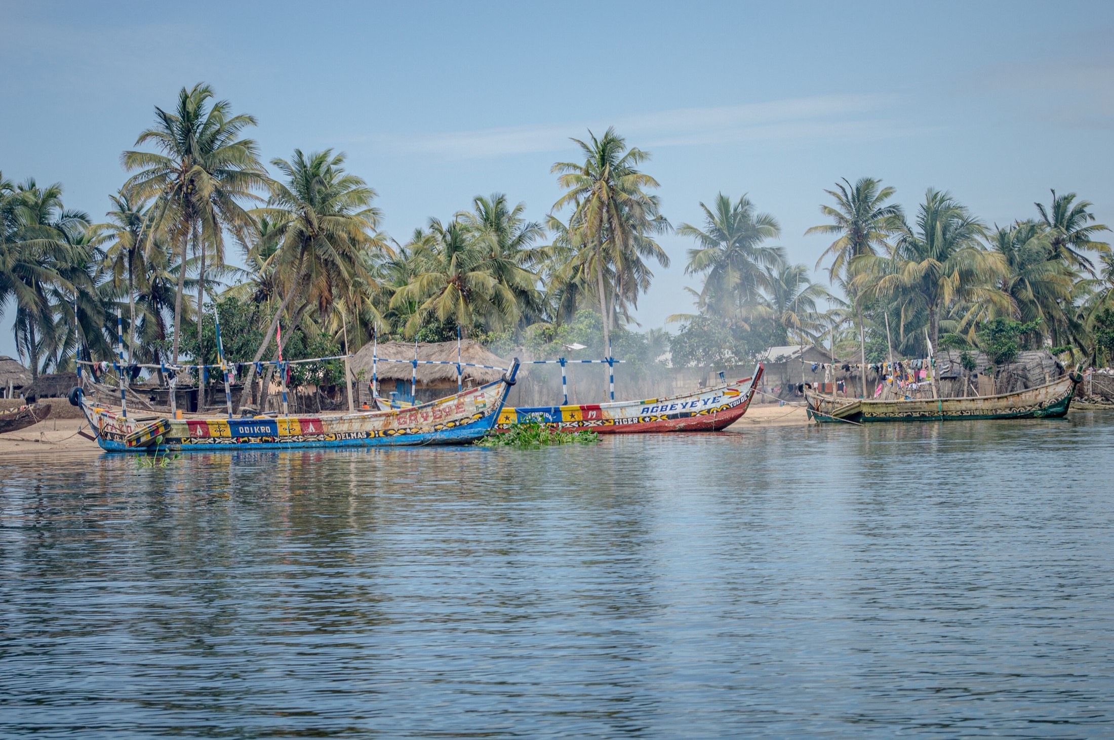 Brightly painted fishing canoes moored along the palm-lined shore of the Volta estuary at Ada Foah